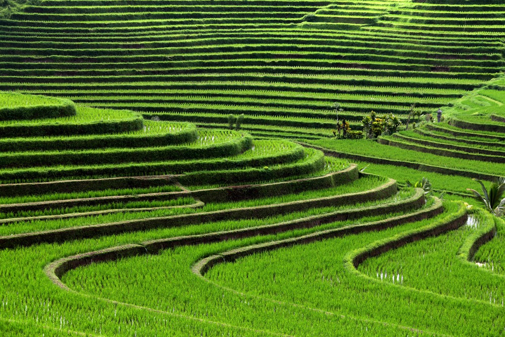 poznavaci-zajezdy-indonesie-java-bali-borobudur-prambanan-1